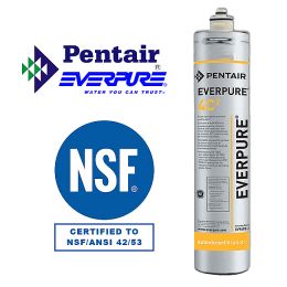 ΑΝΤΑΛΛΑΚΤΙΚΟ PENTEK / EVERPURE  4C2-  0.2 micro