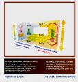  INFRARED PLASMA 1,8 kW NANO  