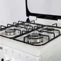       THERMOGATZ  TG 1020